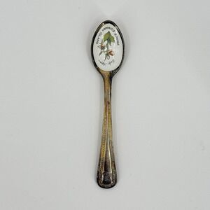 Vintage PEI Prince Edward Island Lady‎ Slipper Souvenir Spoon Stainless Steel